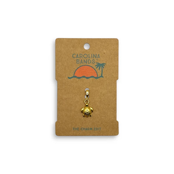 Sea Turtle Charm