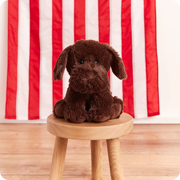 Warmie Chocolate lab