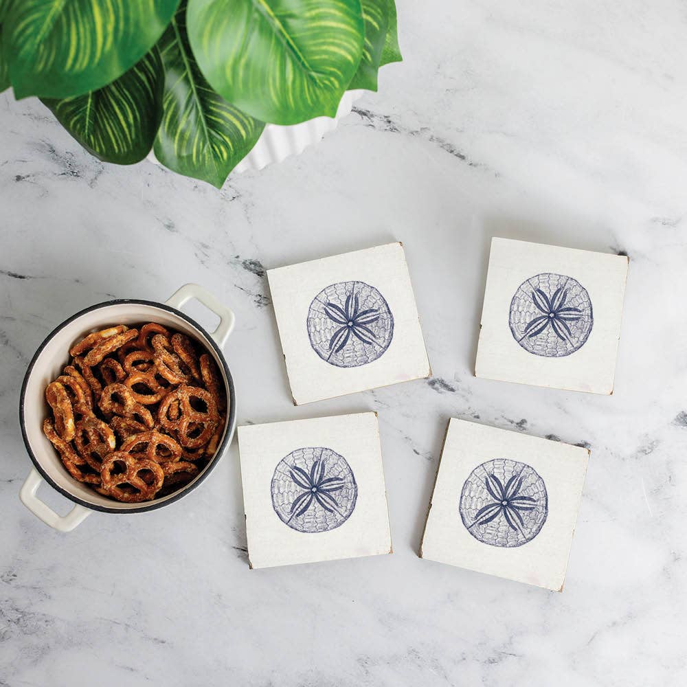 Sand Dollar Sketch Coaster Set